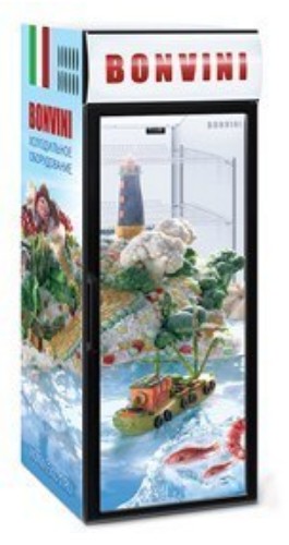 Шкаф холодильный СНЕЖ Bonvini 350 BGC Шкаф холодильный СНЕЖ Bonvini 350 BGC
