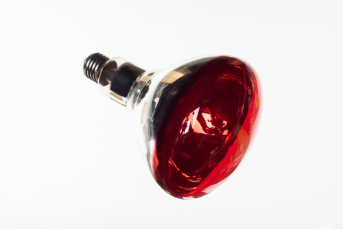 Лампа инфракрасная 250Вт SL0681 FIMAR Лампа инфракрасная 250Вт SL0681 FIMAR