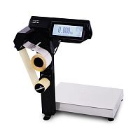 Настольные электронные весы Масса-К МК-15.2-R2P10-1